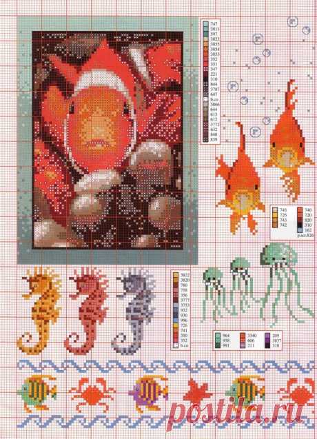 Pin by Cheri Riddell on Seahorses