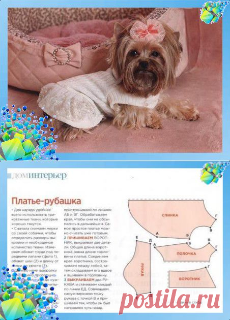 Вязанное платье для собаки
