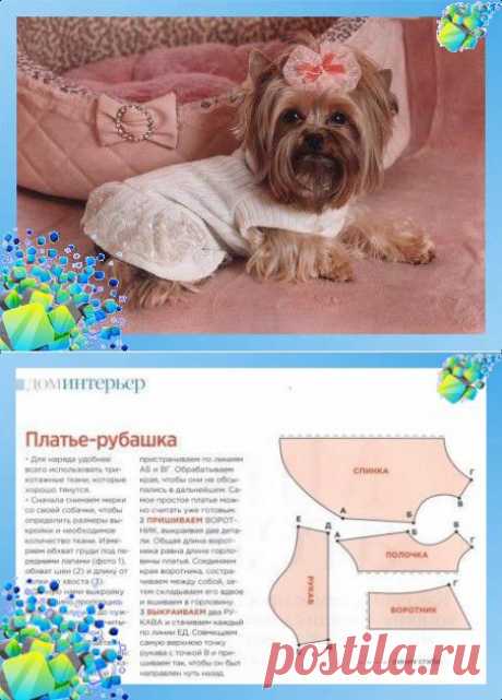 Вязанное платье для собаки