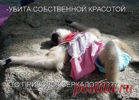 Новости