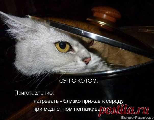 хх