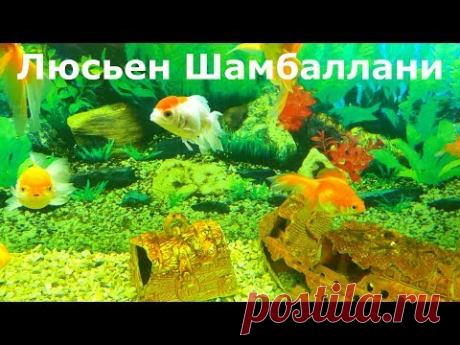 Музыка для добрых людей с чувственной душой. Очистка от негатива и стресса.
