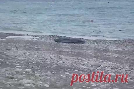Катавшиеся на надувном банане в море россияне нашли в воде бездыханного человека