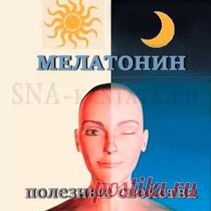 Мелатонин укрепляет иммунитет, чем еще полезен