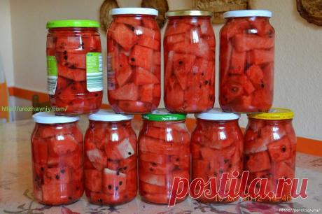 Маринуем,солим,квасим полосатые арбузики- чудесные рецепты на зиму