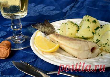 Рыбные блюда русской кухни завершают Песах - Салат