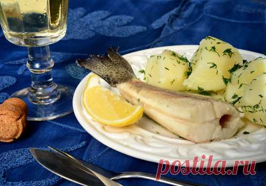 Рыбные блюда русской кухни завершают Песах - Салат