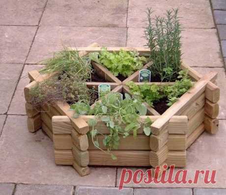 От базилика до эстрагона 

 Чем полезны пряные травы и как их выращивать

Чтобы оценить пряные травы в полной мере, их стоит выращивать на своей грядке – благо дело это вполне посильное! К тому же яркие, нарядные растения будут настоящим украшением сада.