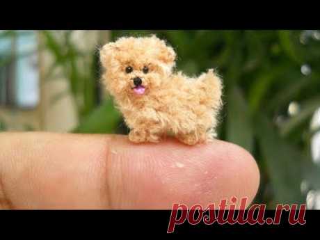 6 ПОРОД САМЫХ МАЛЕНЬКИХ СОБАК В МИРЕ!