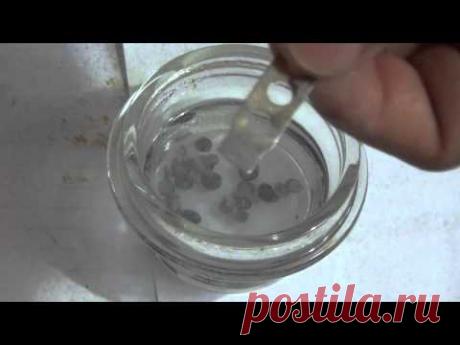 ПАЯЛЬНАЯ КИСЛОТА ДЕЛАЕМ САМИ