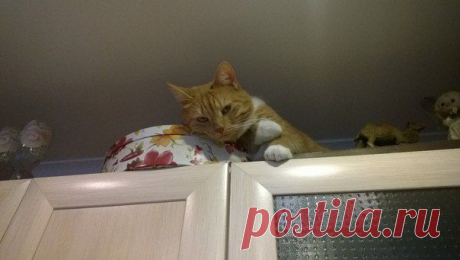 Новые фотографии