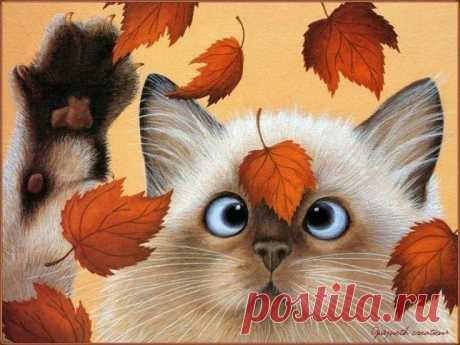 Листопад на носі🍁