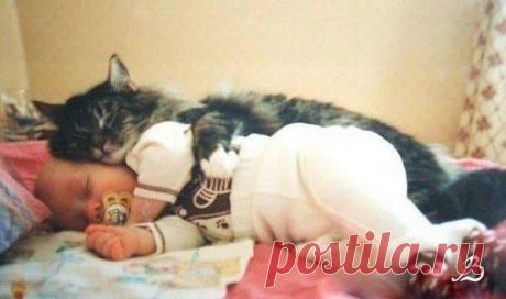 Привычка рано вставать полезна для фигуры - Для поддержания или снижения веса достаточно проводить 20-30 минут на улице с 8 утра до полудня, считают ученые из Северо-Западного университета (США).
По данным исследования, у тех, кто встает рано и выходит на улицу в рассветные часы, индекс массы тела ниже, чем у любителей поспать.
Причина — в особом воздействии света на