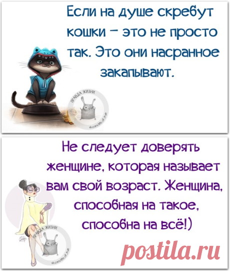 Прикольные фразочки в картинках :) 25 штук &amp;raquo; RadioNetPlus.ru развлекательный портал
