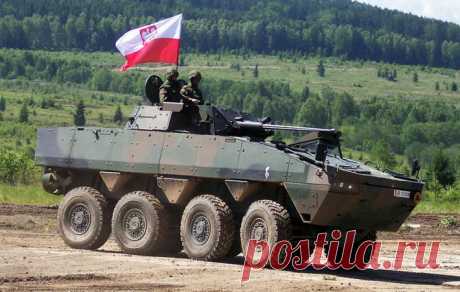 Под прикрытием "выразительного сигнала": Польша больше не боится Россию | МК - Лондон