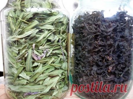 А Вы не забыли заготовить домашние ЧАИ? Полезные сведения о заготовке: Дневник пользователя starushonka