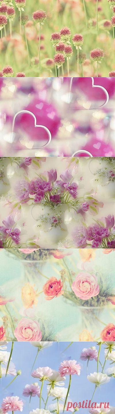 Нежные фоны — Прекрасные фоны для дневников