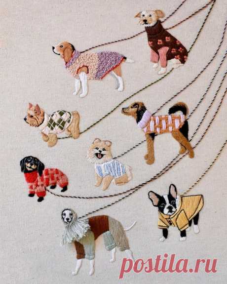 there are many different dogs on the rope