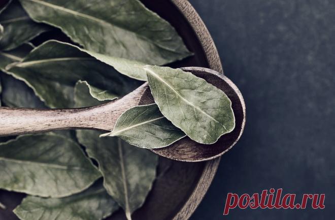 Лавровый лист для красивых волос и отличного настроения. Сделайте настой и масло! Достаньте лавровый лист, и он подарит вам прекрасное настроение и красивые волосы, а также вылечит инфекции. Узнайте, как приготовить настой и масло лаврового листа и как их использовать.