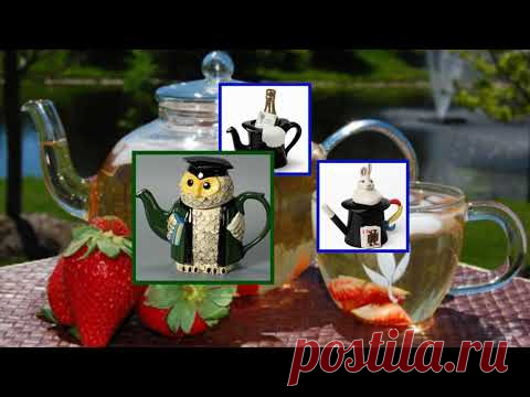 Пузатый чайник.   Татьяна и Сергей Никитины