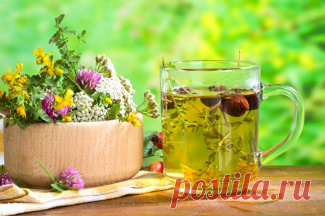 Рецепты народной медицины для лечения почек