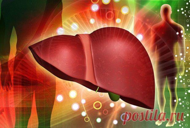 Лечим печень народным средством