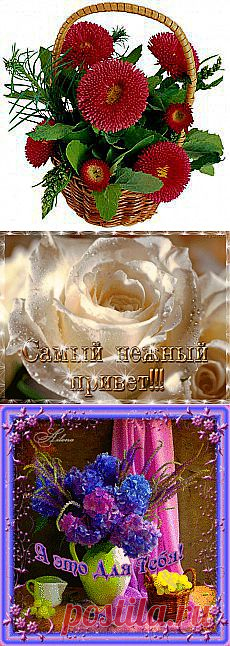 Людмила Чернецкая: Поздравлялки | Постила.ru