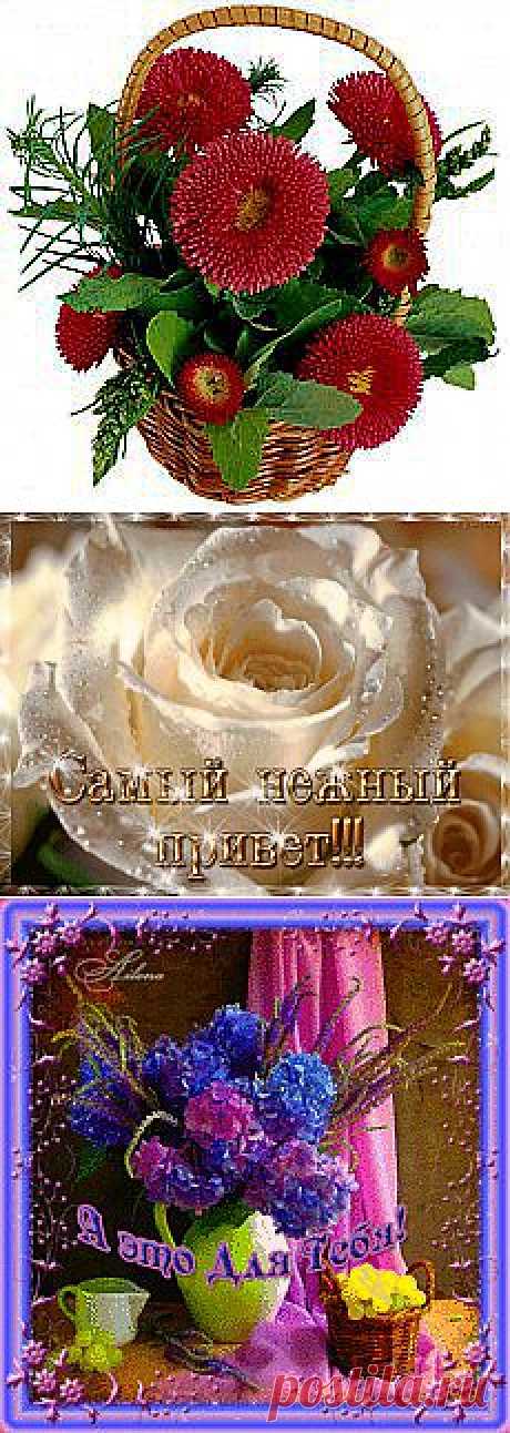 Людмила Чернецкая: Поздравлялки | Постила.ru