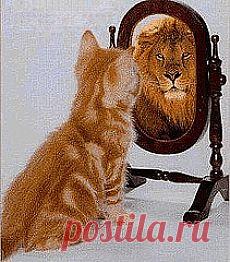 Психологический тест онлайн на определение самооценки | Психотестер - психологические тесты онлайн