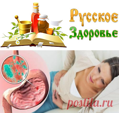 10 мощных растительных средств от инфекции Хеликобактер пилори