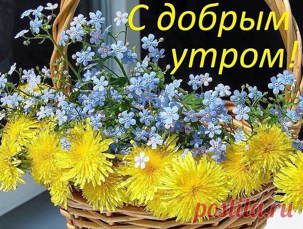 С ДОБРЫМ УТРОМ!!!
Хорошего должно быть очень Много.
И это Много,Вам,друзья мои.
Пускай ковром расстелется дорога.
Встречая день,поют пусть соловьи.
С рассвета до заката и обратно
Ангел Хранитель дарит Вам покой.
А грусть пускай уходит безвозвратно,
Тоску с печалью,унося с собой.
И пусть удача Вас сопровождает.
В доме очаг не тлеет,а горит.
Теплом душевным близких согревает.
Тревога сердце пусть не бередит.
И в жизни полный штиль,не надо шторма.
Попутный ветер в Ваших парусах.