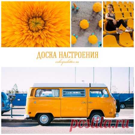 Желтое настроение!
Согреваемся теплым лучистым, ярким как солнышко цветом. Оттенок очень яркий и насыщенный, возможно для кого-то он будет неприемлем, а для кого-то наоборот — очень желанным. Давайте окунемся в него, представим как и где можно применить такое чудо.
Одежда
Яркий оттенок желтого, как в коллаже ниже уместен на дружеских и семейных встречах. Например, можно надеть теплый пуловер, брюки, платье, в сочетании с другими, более нейтральными оттенками.
Для деловой в...