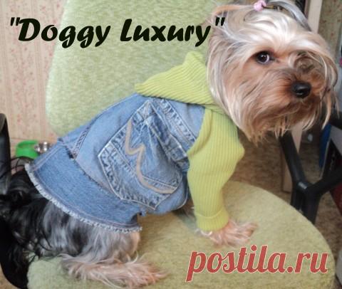 Как сшить курточку из старых джинсов для вашего питомца