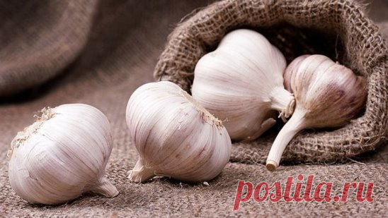 33 полезных свойства чеснока