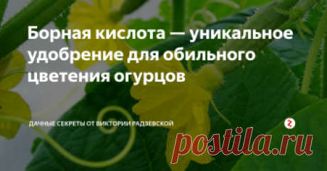 Борная кислота — уникальное удобрение для обильного цветения огурцов Для тех, кто хочет вырастить обильный урожай огурцов, предлагаю уникальное удобрение – борная кислота. Это удобрение содержит бор, который необходим для роста и развития растения.
