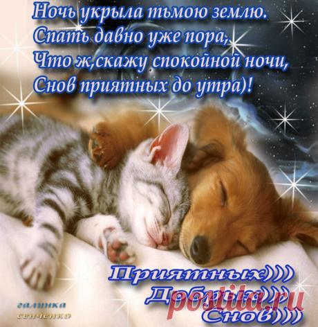 КРАСИВЫХ СНОВ!