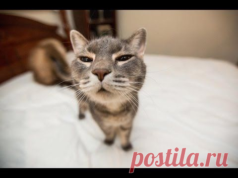 Предложение для тех, кто:
- в декрете 
- временно не работает
- имеет основную работу и на ней есть доступ в интернет
- не доволен своим уровнем жизни, и хочет его улучшить
- живет в маленьком населенном пункте, где нет работы
- или просто ЕСЛИ ВАМ НУЖНЫ ДЕНЬГИ!
За подробностями пишите в личку ,  чтобы зарегистрироваться  пройдите по ссылке ...
