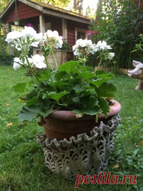 betoniaskartelu - Google Search