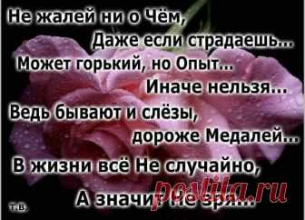 Татьяна Вергелес