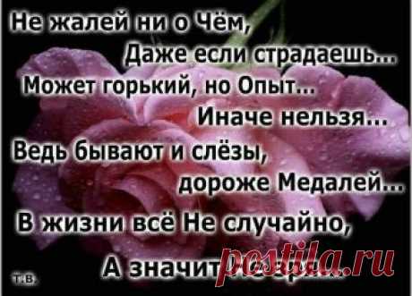 Татьяна Вергелес
