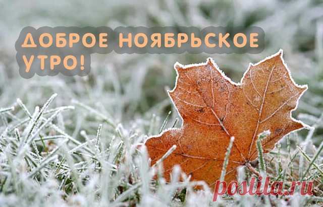 Пусть сегодня, к вам - заглянет счастье, 
и уйти не сможет, ну.. никак! 
Пусть любовь с утра вас потревожит… 
В гости - на минуточку зайдёт… 
Чемодан с пожитками забудет, 
а вернувшись - больше не уйдёт. 
Дружба рядом с вами греет душу! 
С нею вместе радость, доброта. 
И к такой компании прекрасной, 
пусть добавится - людская теплота! 
Пусть будет в жизни - всё благополучно! 
Денег всем хватает - и с лихвой. 
Крылья пусть расправят ваши души, 
а сердца, пусть - обретут покой!