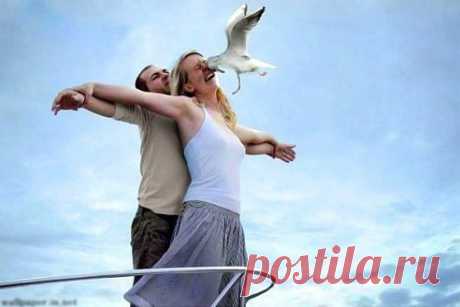 Ну вот... птичка из фотоаппарата и вылетела