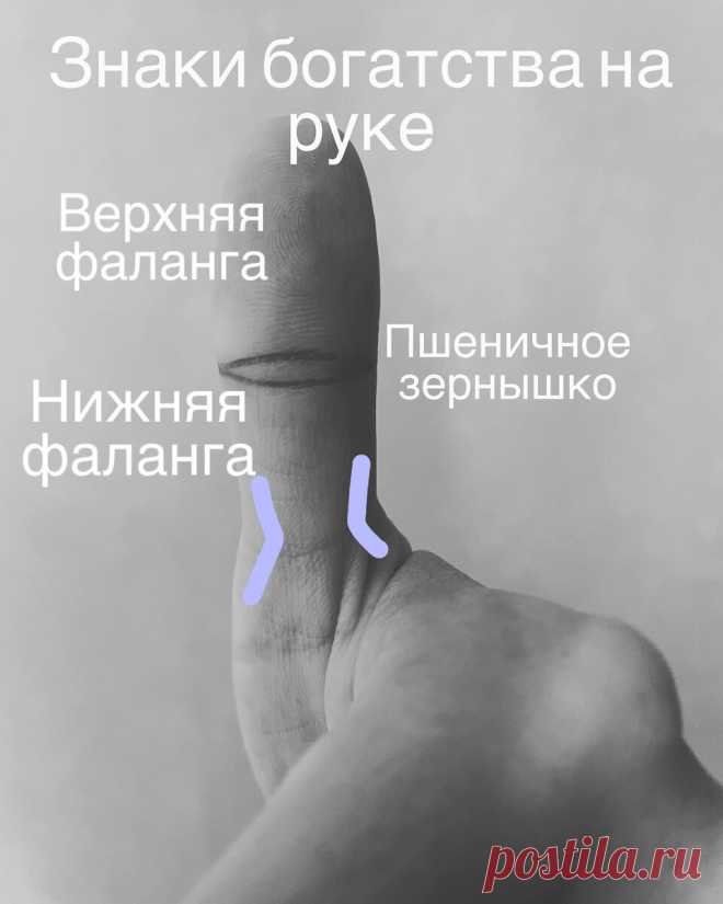 Большой палец в хиромантии | Виктория Кутукова | Яндекс Дзен