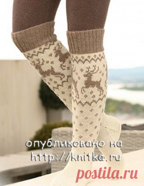 Гетры/гольфы с оленями, Вязание для женщин