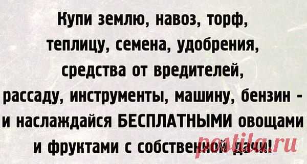 Интересные новости
