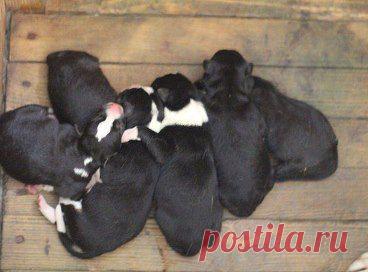 НУЖНА АВТОПОМОЩЬ!!!

Для Маси и деток очень нужна автопомощь сегодня! К 17.00-18.00 ее нужно отвезти в Курасовщину с Гурского. Пожалуйста! Это шанс для семейки вырваться из этого страшного места! 

8-029-120-30-40 Оля (не беру-смс, перезвоню)