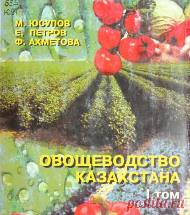 Овощеводство Казахстана