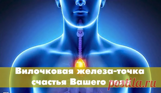 Что такое точка счастья