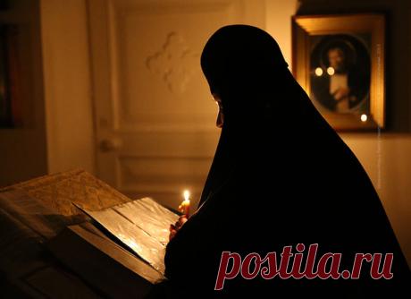 Монашка | Ешь, живи, молись на берегу Красного моря. | Яндекс Дзен