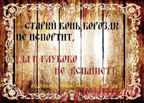 Народная мудрость